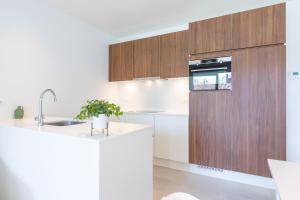 LECOMTE - The Shoreline X Green C