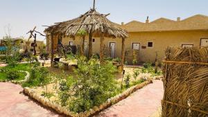 ادرار احكيك