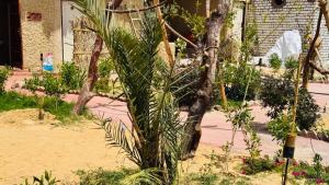 ادرار احكيك