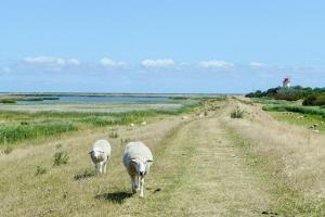 Familienfreundliches Ferienhaus Nahe Niobe Strand