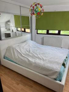 House in the new center,Brasov