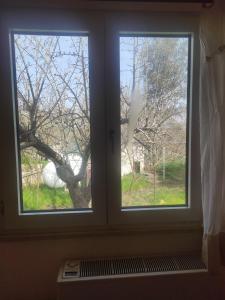 appartamento nuovo fra alberi e trulli