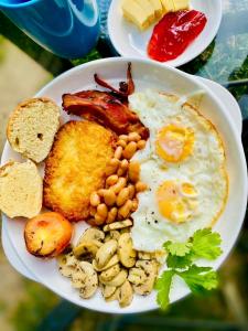 Island Lyfe Adventures Hotel