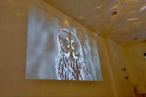 mimi homestay bắc ninh 514