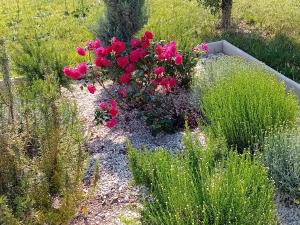 villa 4 étoiles avec piscine et pool house