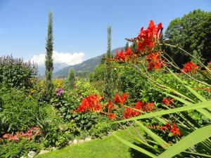 Ferienwohnung Cosmea In Millstatt