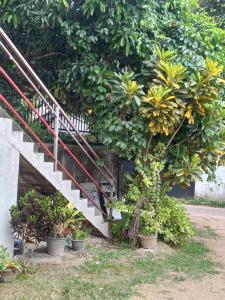 Master Bedroom with Lovely Environment