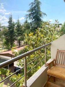 Triena Rooms