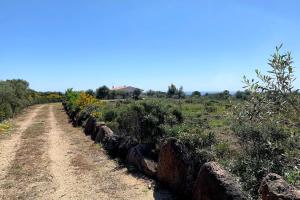 Private Countryside Retreat, Distant Sea View
