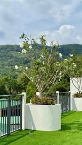 Apartment near the sea Kamala beach 601