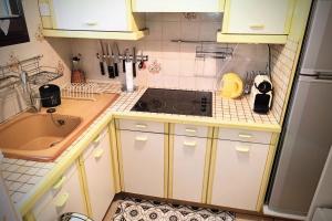 House 3 rooms with garden near the sea