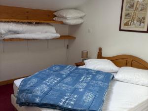 Appartement T2 proche des pistes avec balcon et accès Wi-Fi - FR-1-807-71