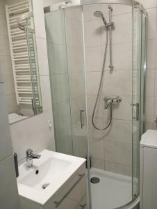 VIP Apartamenty Witolda