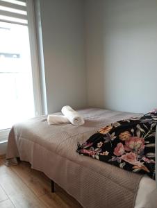 VIP Apartamenty Witolda