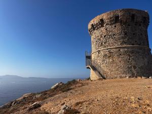 Appartements Appartement vue mer Vulpaghja 01 : photos des chambres