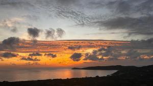 Appartements Appartement vue mer Vulpaghja 01 : photos des chambres