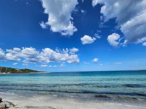 La flabellina blu img17