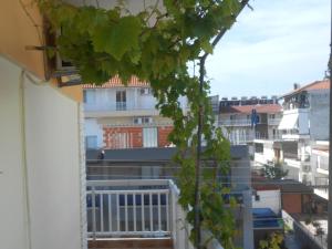 Hotel Germany Olympos Greece