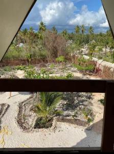 michamvi mangrove cabin