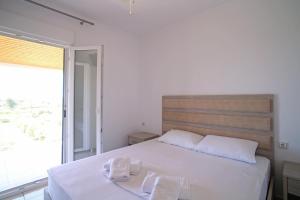 Potidaias olives tree field house