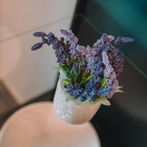 Modern & Elegant Getaway near Pasalimani