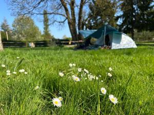 B&B / Chambres d'hotes Au fil de l-eau - Sur la rive de pont Miny : photos des chambres