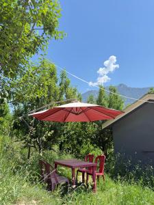Manali Hill Stay