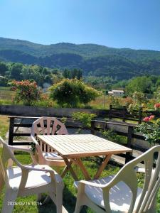 Appartements Studio cosy au pied de la montagne : photos des chambres