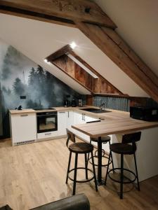 Appartements Appartement neuf Le Grenier d-Oscar : photos des chambres
