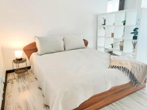 Kopų tako apartamentai