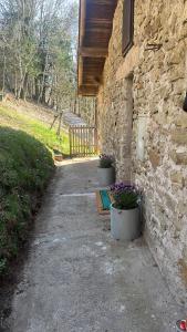 Lovely House