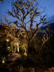 PADHUM cabañas en medio de la naturaleza