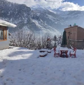 Manali Hill Stay