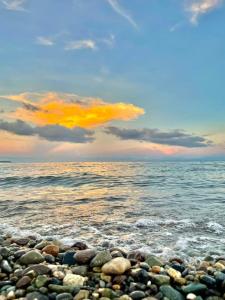 Son Francisco Campsite and Beach Resort