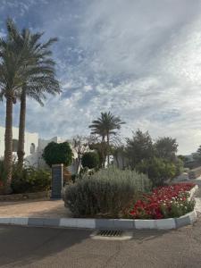 Domina coral bay