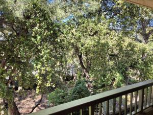 Charmant studio, 4 couchages, lumineux, 500 m de la plage et des commerces...