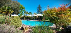 Maisons de vacances Gite Les Pierres Blondes : photos des chambres