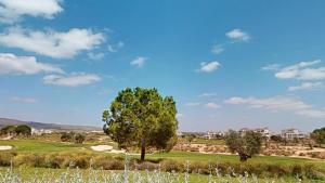 Casa Atlantico 126-Murcia Holiday Rentals Property