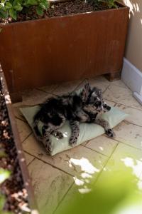 Al Casale - Guest House