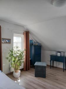 Ferienwohnung Windlicht