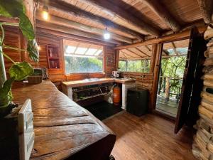 Forest Cabin Nature Retreat