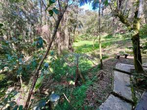 Forest Cabin Nature Retreat