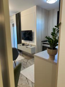 Mila apartman Banja Koviljaca