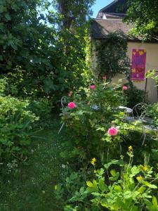 B&B / Chambres d'hotes Noctuelle : photos des chambres