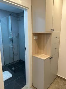 Mila apartman Banja Koviljaca