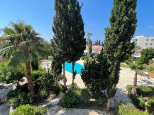 Natalias 1 Bedroom Apartemnt