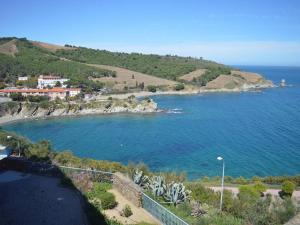 Appartements Appartement lumineux 2 pieces avec vue mer, parking et Wifi a Banyuls-sur-Mer - FR-1-225C-16 : photos des chambres