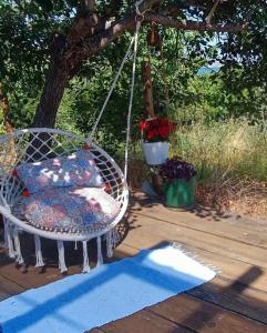 Pirates Queen Caravan