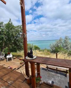 Pirates Queen Caravan