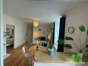 Appartements Cosy Amber - 2CH - Place Verdun & Parking : photos des chambres